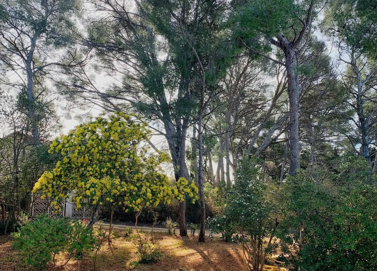 Hébergement de vacances Villa Familiale A Sanary, Climatisee, Plage A Pieds